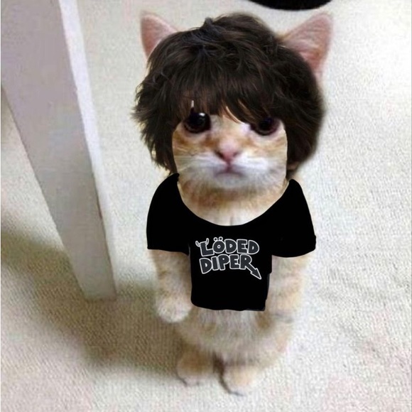 Meet your Posher, Erika - Picture 1 of 1